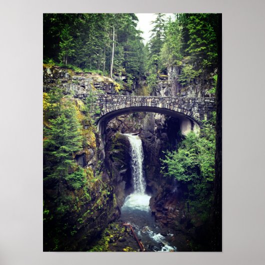 Waterval bij de voet van MT. Rainier Poster (Voorkant)