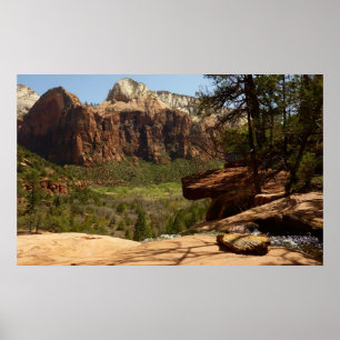 Waterval bij Emerald Pools in Zion National Park Poster