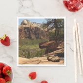 Waterval bij Emerald Pools in Zion National Park Servetten (Insitu)