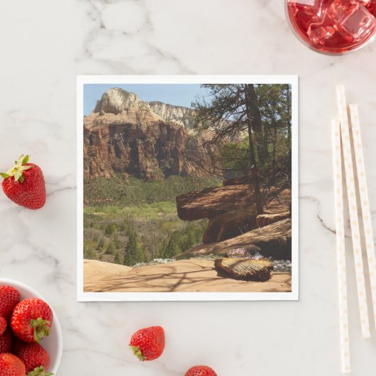Waterval bij Emerald Pools in Zion National Park Servetten (Insitu)
