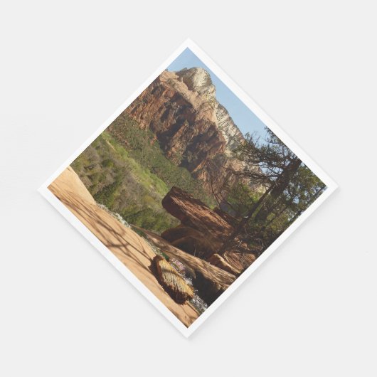 Waterval bij Emerald Pools in Zion National Park Servetten (Hoek)