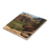 Waterval bij Emerald Pools in Zion National Park Tegeltje (Zijkant)