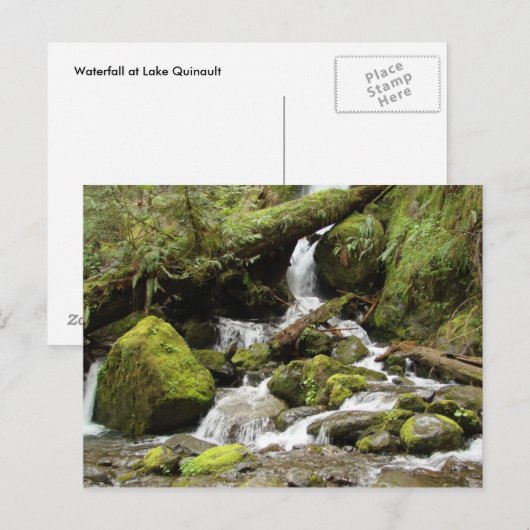 Waterval bij het meer van Quinault Briefkaart (Voorkant / Achterkant)