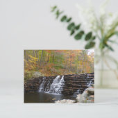 Waterval bij Laurel Hill State Park I Briefkaart (Staand voorkant)