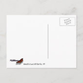 Waterval bij Laurel Hill State Park I Briefkaart (Achterkant)