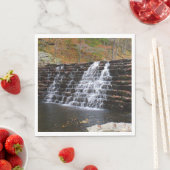 Waterval bij Laurel Hill State Park I Servet (Insitu)