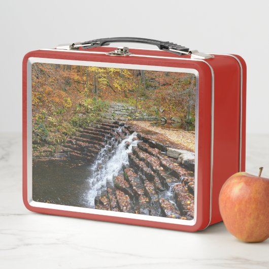 Waterval bij Laurel Hill State Park II (In situ)