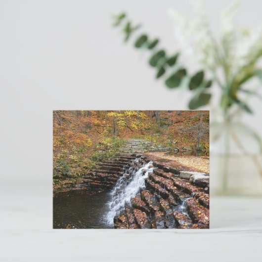 Waterval bij Laurel Hill State Park II Briefkaart (Staand voorkant)