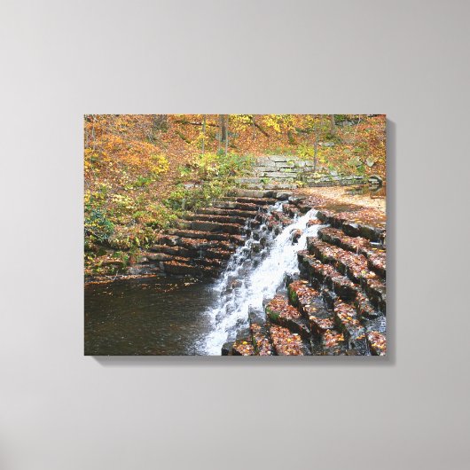 Waterval bij Laurel Hill State Park II Canvas Afdruk (Voorkant)