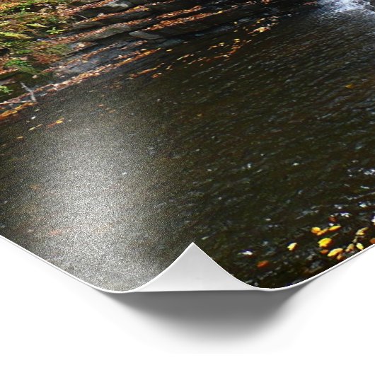 Waterval bij Laurel Hill State Park II Foto Afdruk (Hoek)