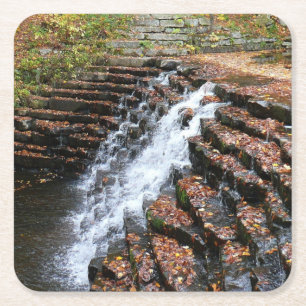 Waterval bij Laurel Hill State Park II Kartonnen Onderzetters