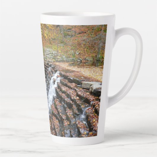 Waterval bij Laurel Hill State Park II Latte Mok (Rechts)