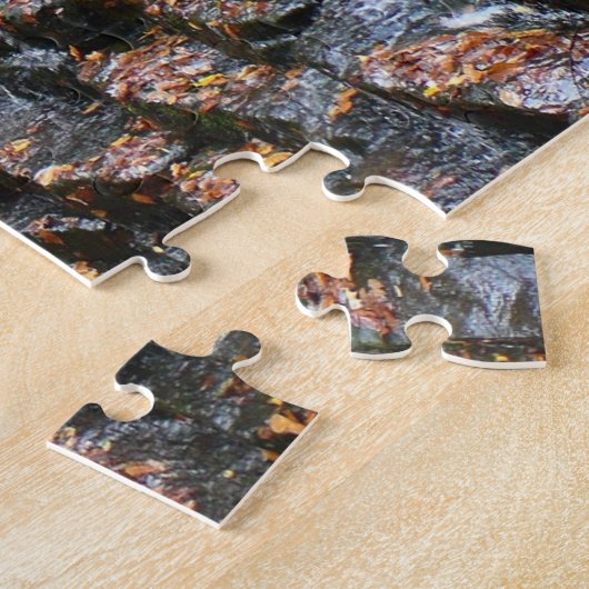 Waterval bij Laurel Hill State Park II Legpuzzel (Zijkant)