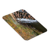 Waterval bij Laurel Hill State Park II Magneet (Rechterzijde)