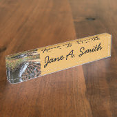 Waterval bij Laurel Hill State Park II Naambordje (Zijkant)