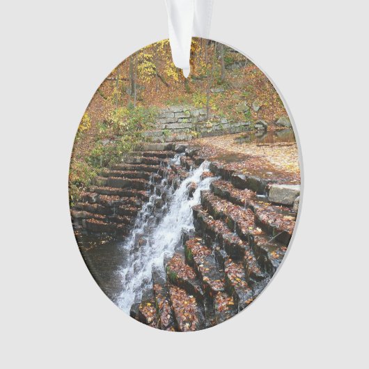 Waterval bij Laurel Hill State Park II Ornament (voorkant)
