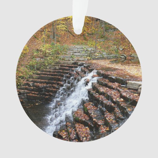 Waterval bij Laurel Hill State Park II Ornament (voorkant)