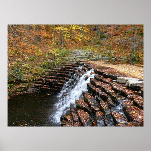 Waterval bij Laurel Hill State Park II Poster (Voorkant)