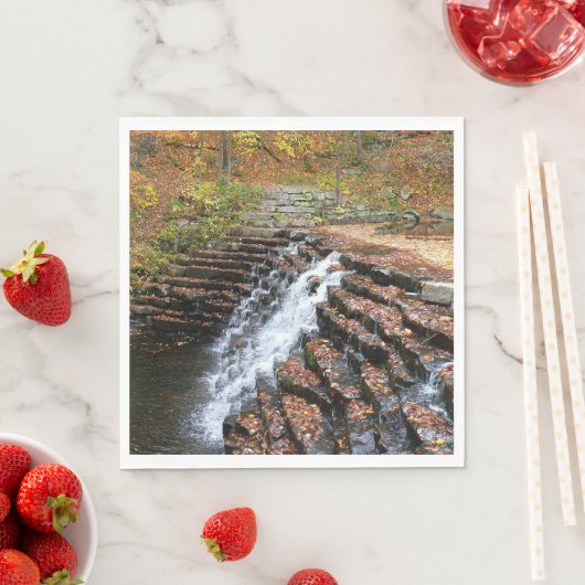 Waterval bij Laurel Hill State Park II Servetten (Insitu)