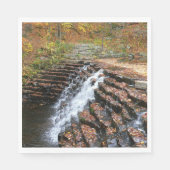 Waterval bij Laurel Hill State Park II Servetten (Voorkant)