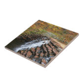 Waterval bij Laurel Hill State Park II Tegeltje (Zijkant)