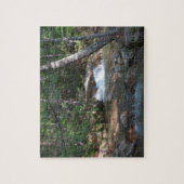 Waterval bij Pemigewasset River II Legpuzzel (Verticaal)