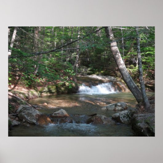 Waterval bij Pemigewasset River II Poster (Voorkant)