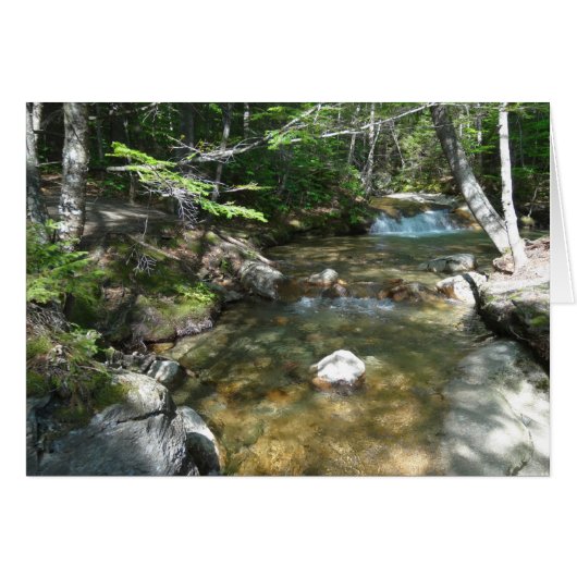 Waterval bij Pemigewasset River III (Voorkant Horizontaal)