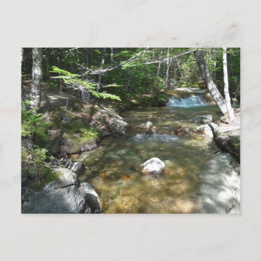 Waterval bij Pemigewasset River III Briefkaart (Voorkant)