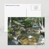 Waterval bij Pemigewasset River III Briefkaart (Voorkant / Achterkant)