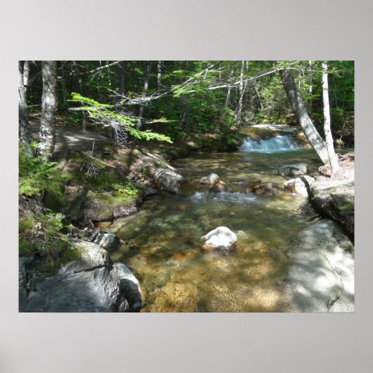 Waterval bij Pemigewasset River III Poster (Voorkant)