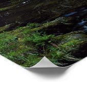 Waterval bij Watersmeet, North Devon, Engeland Poster (Hoek)