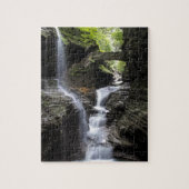 Waterval bij Watkins Glen, NY Legpuzzel (Verticaal)