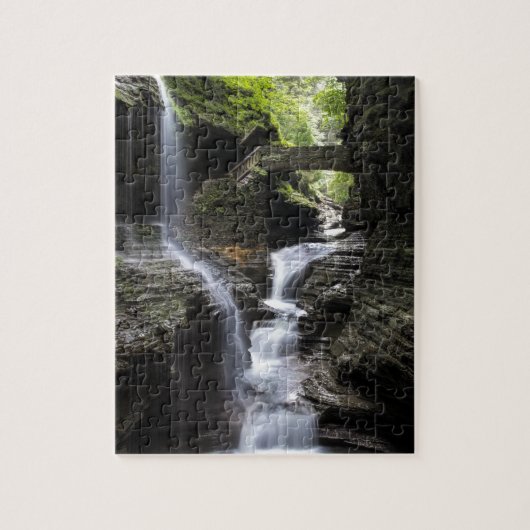 Waterval bij Watkins Glen, NY Legpuzzel (Verticaal)