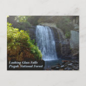 Waterval Blue Ridge Mountains Looking Glass Falls Briefkaart (Voorkant)