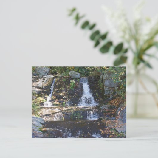 Waterval Bobby McLean Memorial Park, Newland, NC Briefkaart (Staand voorkant)