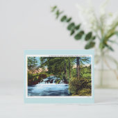 Waterval, bossen, Spearfish Canyon, Black Hills SD Briefkaart (Staand voorkant)