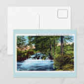 Waterval, bossen, Spearfish Canyon, Black Hills SD Briefkaart (Voorkant / Achterkant)