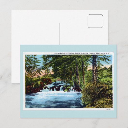 Waterval, bossen, Spearfish Canyon, Black Hills SD Briefkaart (Voorkant / Achterkant)