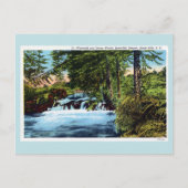 Waterval, bossen, Spearfish Canyon, Black Hills SD Briefkaart (Voorkant)