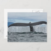 Waterval Briefkaart (Voorkant / Achterkant)