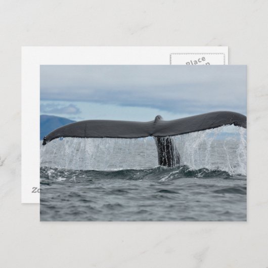 Waterval Briefkaart (Voorkant / Achterkant)