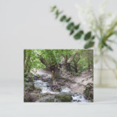waterval briefkaart (Staand voorkant)