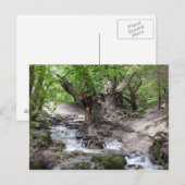 waterval briefkaart (Voorkant / Achterkant)