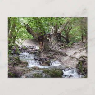waterval briefkaart