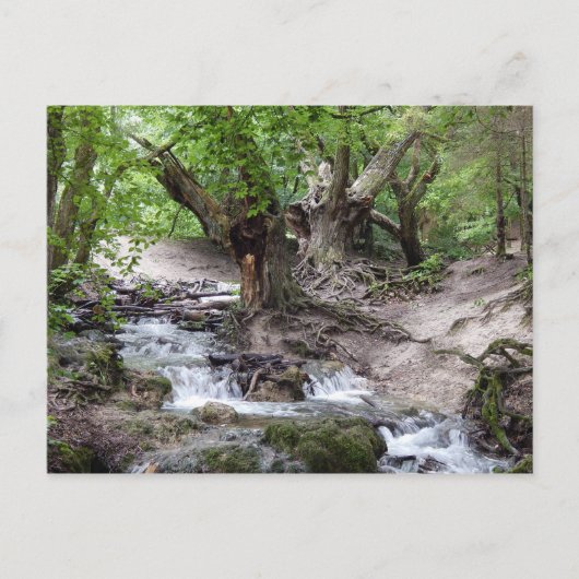 waterval briefkaart (Voorkant)