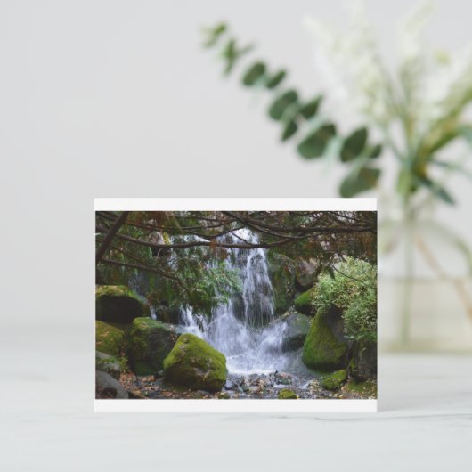 Waterval Briefkaart (Staand voorkant)