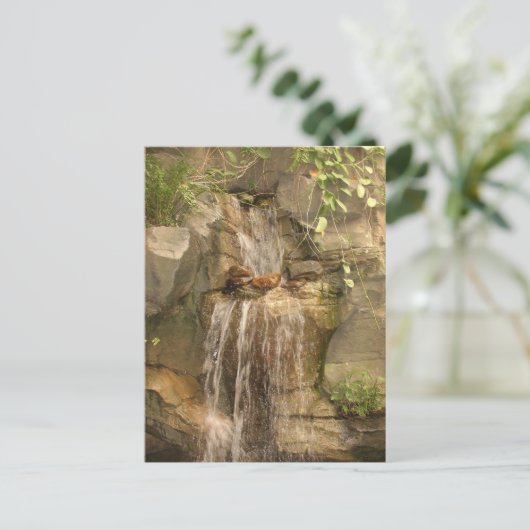 Waterval Briefkaart! Briefkaart (Staand voorkant)
