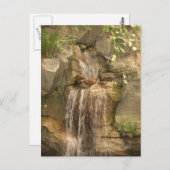 Waterval Briefkaart! Briefkaart (Voorkant / Achterkant)