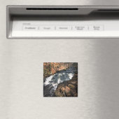 Waterval - Bushkill Falls Magneet (Insitu (Vaatwasser))